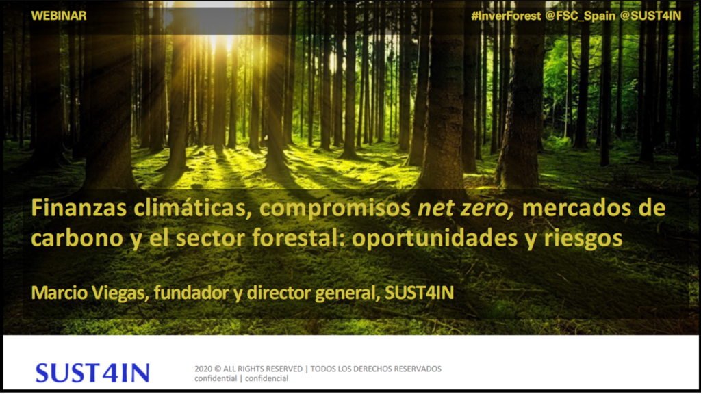 Finanzas climáticas, compromisos net zero, mercados de carbono y el sector forestal: oportunidades y riesgos